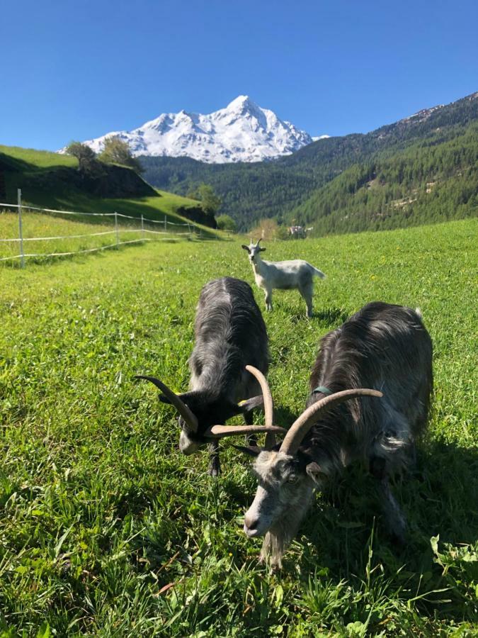 Granbichlhof Appartement Sölden Buitenkant foto