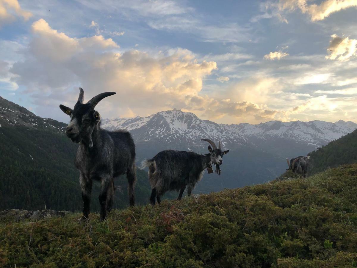 Granbichlhof Appartement Sölden Buitenkant foto