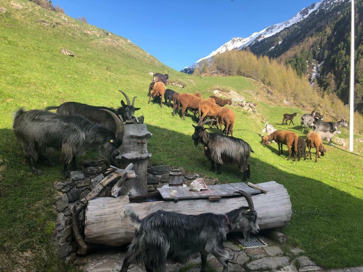 Granbichlhof Appartement Sölden Buitenkant foto